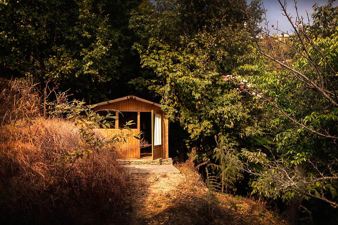 oak chalet mukteshwar homestayview from kitchen