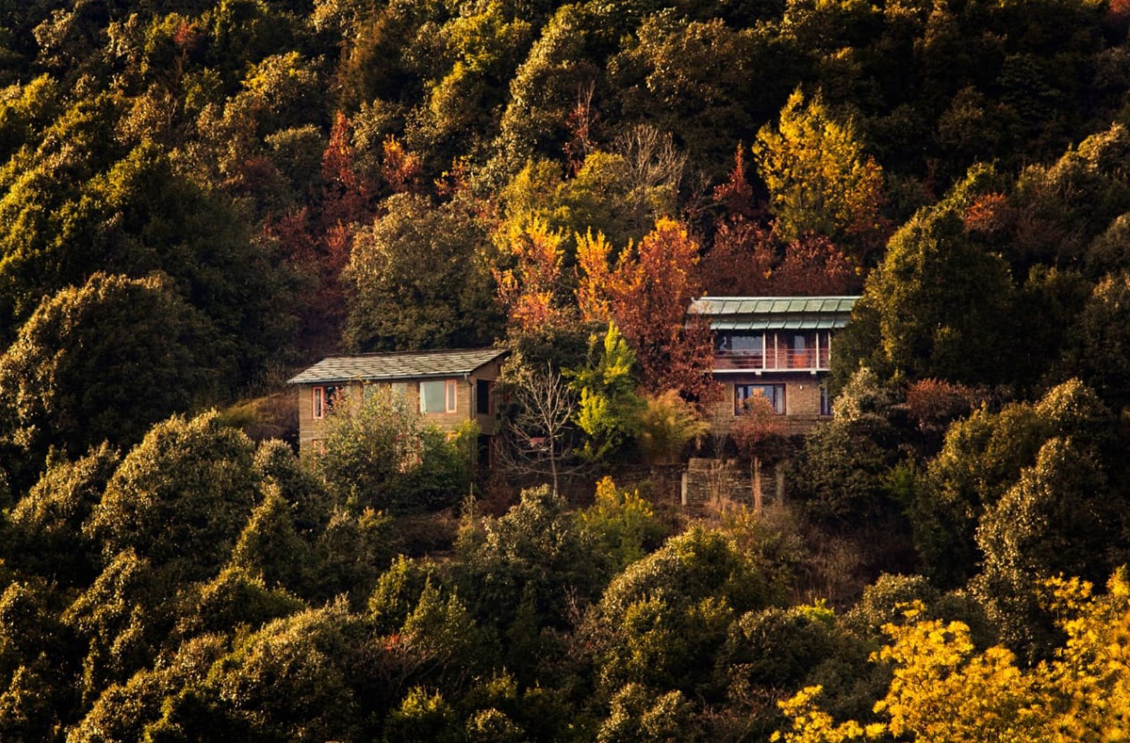 oak chalet mukteshwar homestay